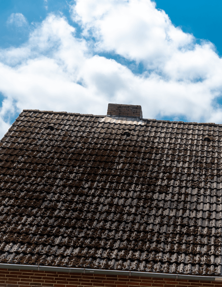 Toiture avant les travaux